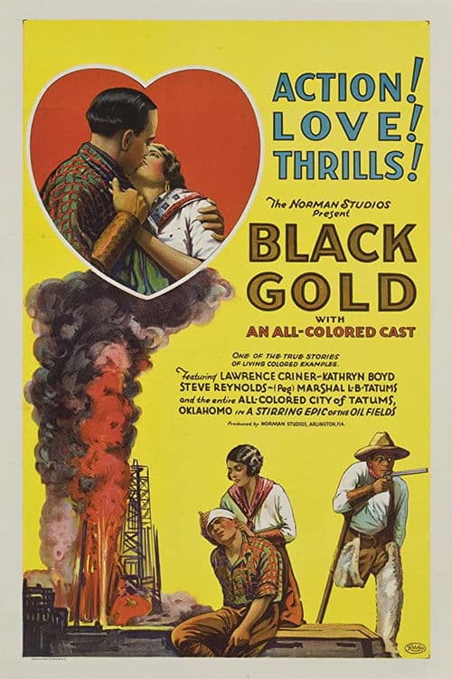 Black Gold poster