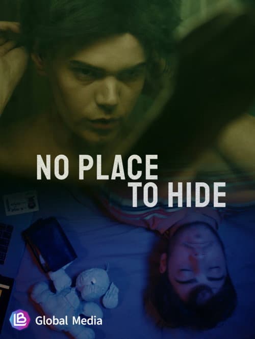 No Place to Hide poster