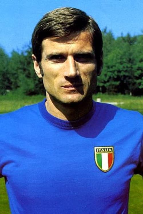 Giacinto Fachetti profile photo