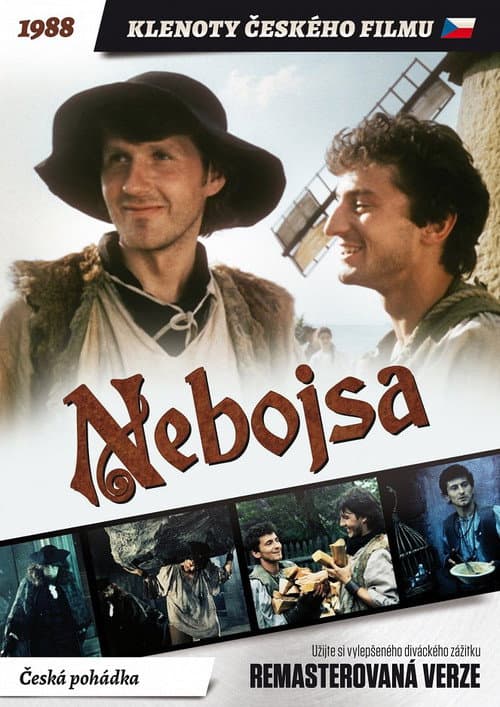 Nebojsa poster
