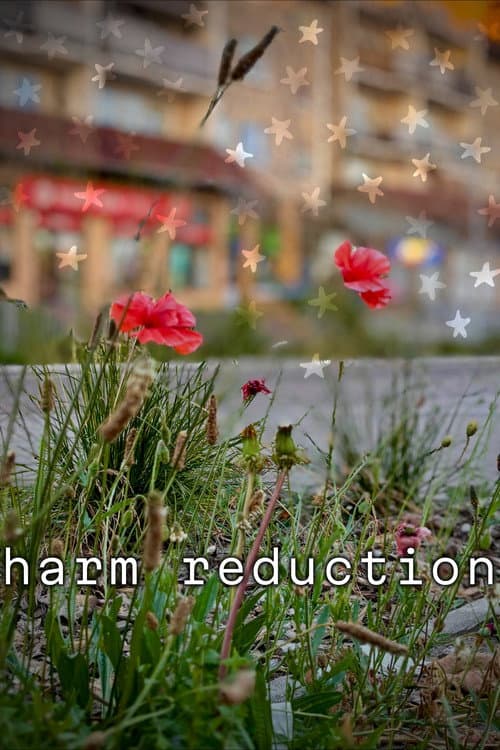 Harm Reduction poster