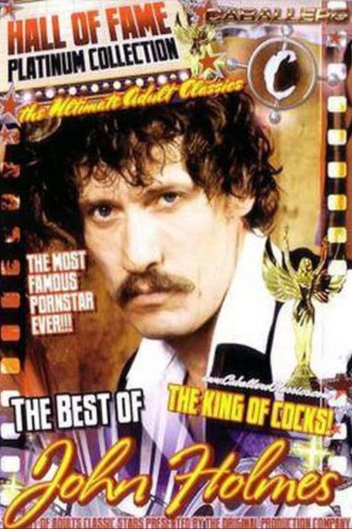 Caballero Hall of Fame Best of John Holmes poster