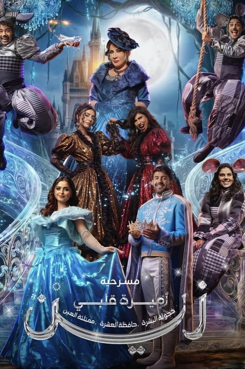 اميرة قلبي زين poster