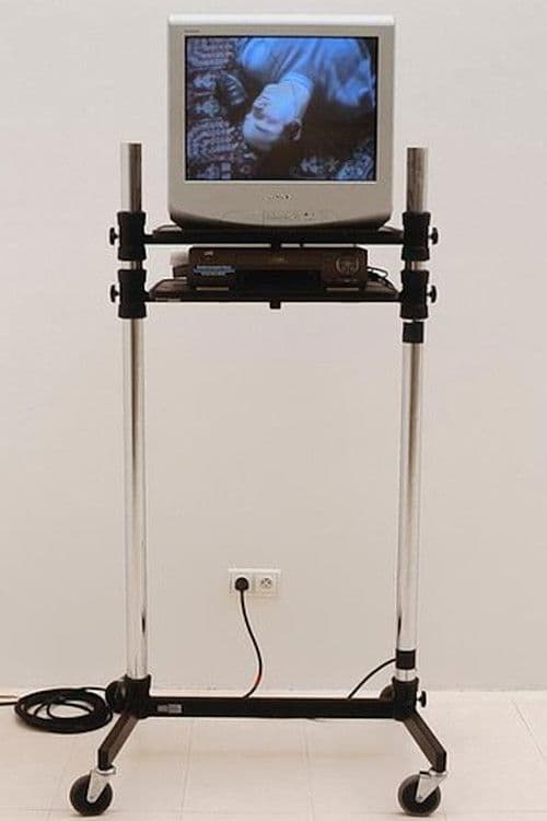 Douglas Gordon sings the best of Lou Reed & The Velvet Underground (For Bas Jan Ader) poster