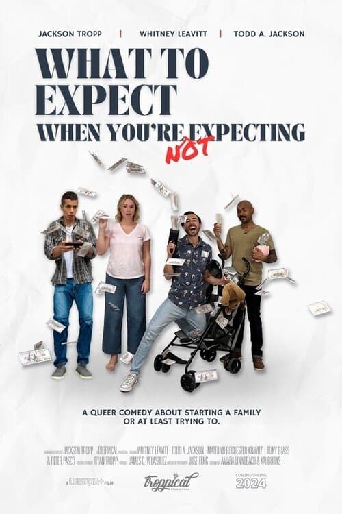 What to Expect When You're Not Expecting poster