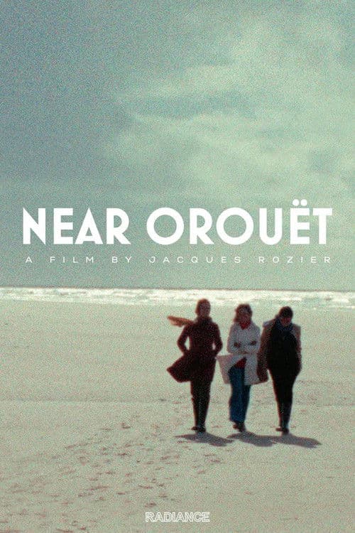 Near Orouët poster