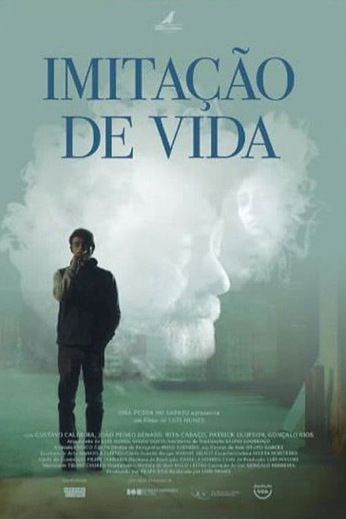 Imitação de Vida poster