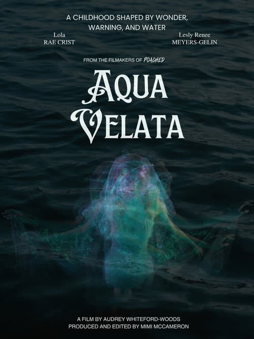 Aqua Velata poster