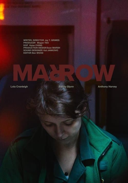 MARROW poster