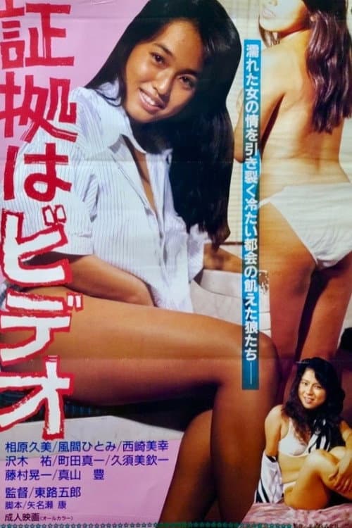Shôko wa video poster