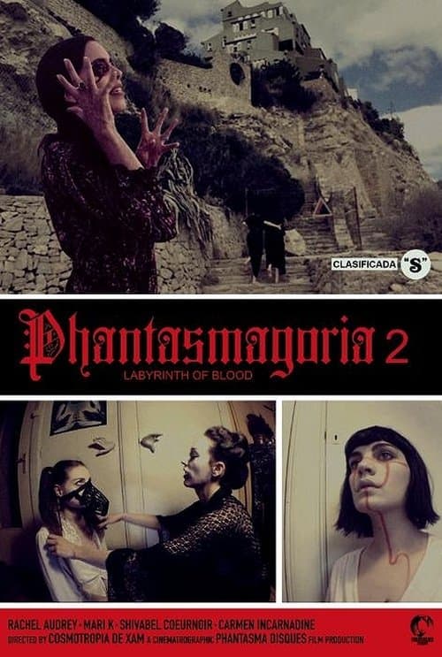 Phantasmagoria 2: Labyrinths of blood poster