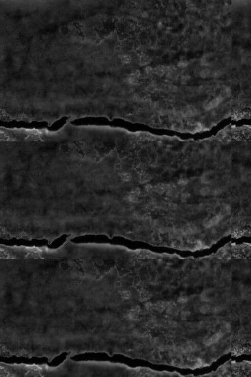 A Radical Film poster