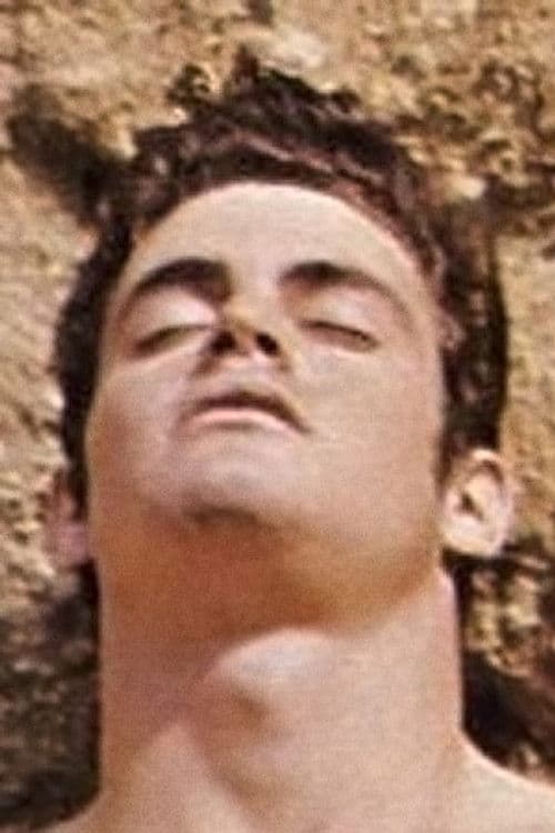 Jay Bolern profile photo