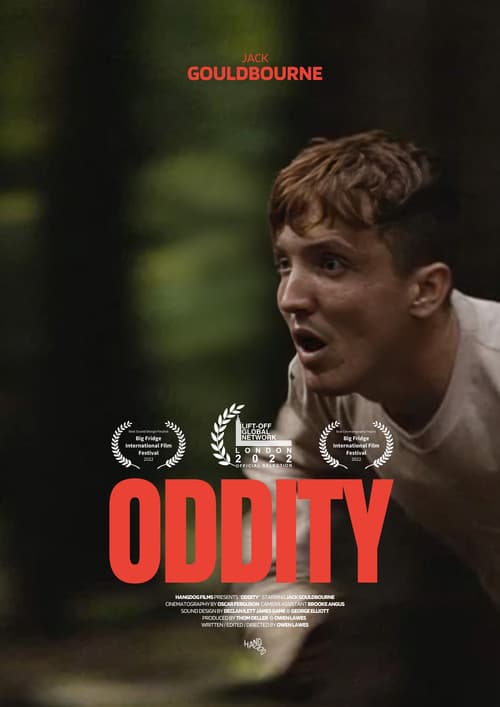Oddity poster