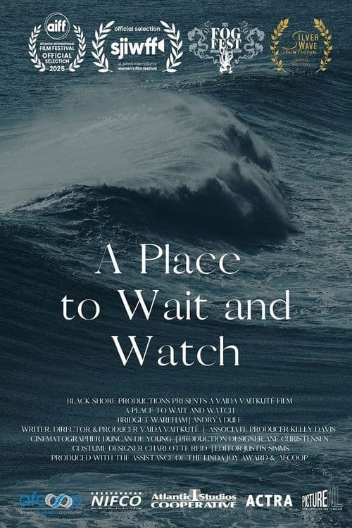 A Place to Wait and Watch poster