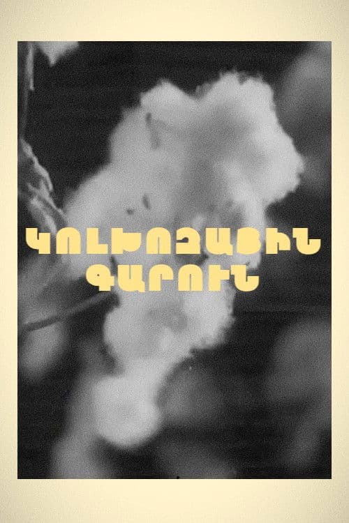 Spring in Kolkhoz poster