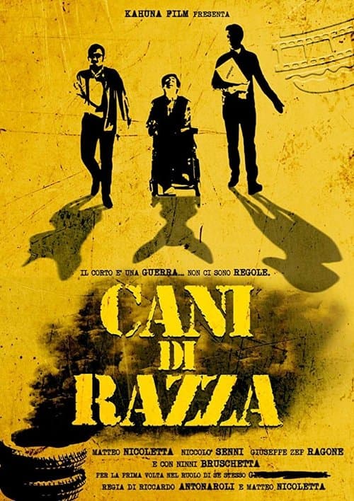 Cani di razza poster