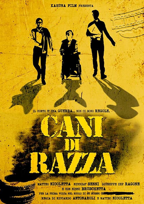 Cani di razza poster