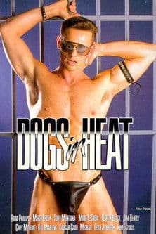 Dogs in Heat poster
