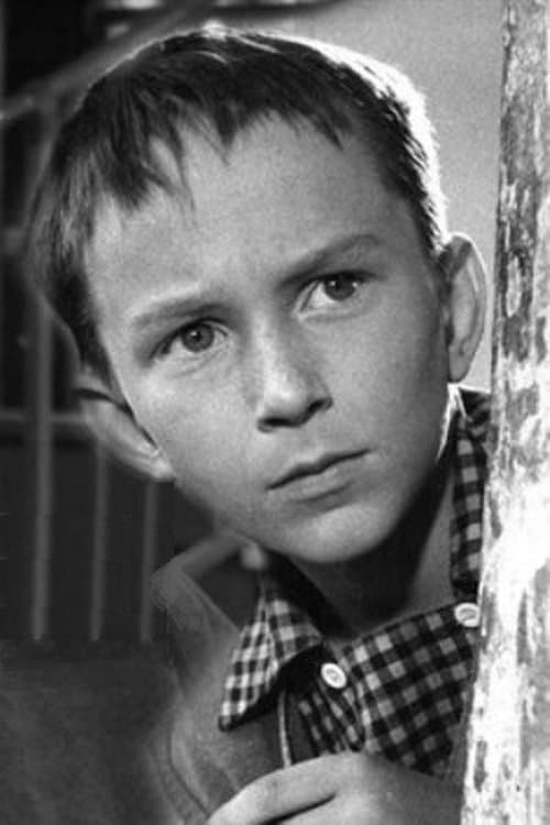 Martin Švehla profile photo