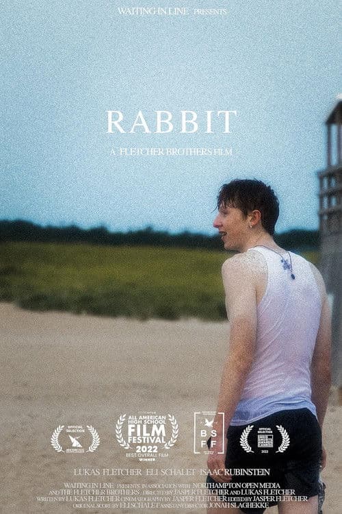 RABBIT poster