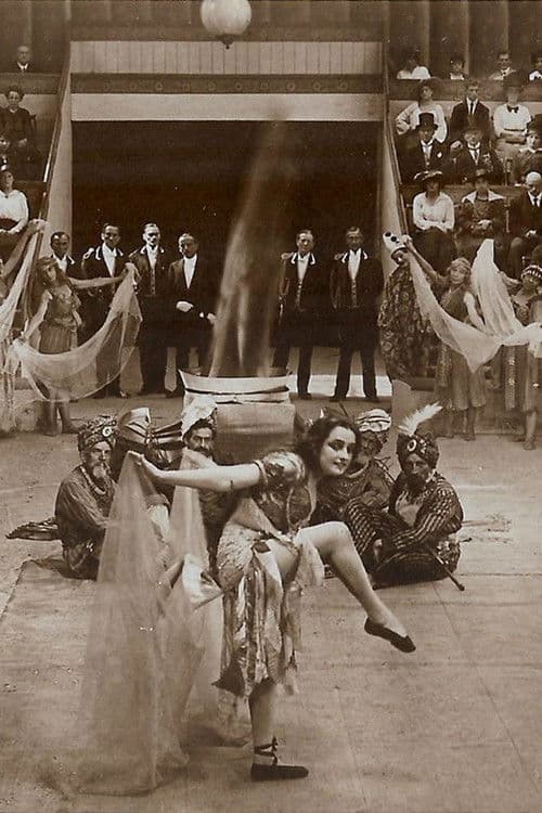 Des Lebens ungemischte Freude poster