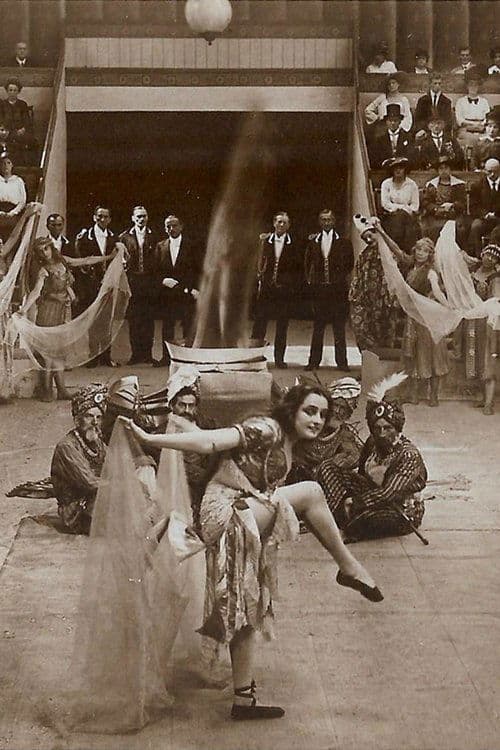 Des Lebens ungemischte Freude poster