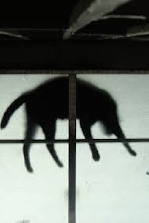 Scissors and the Cat poster