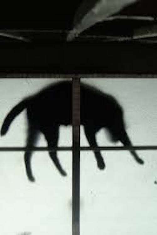 Scissors and the Cat poster