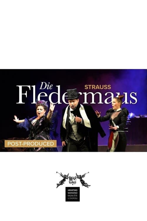 Die Fledermaus - CNT poster