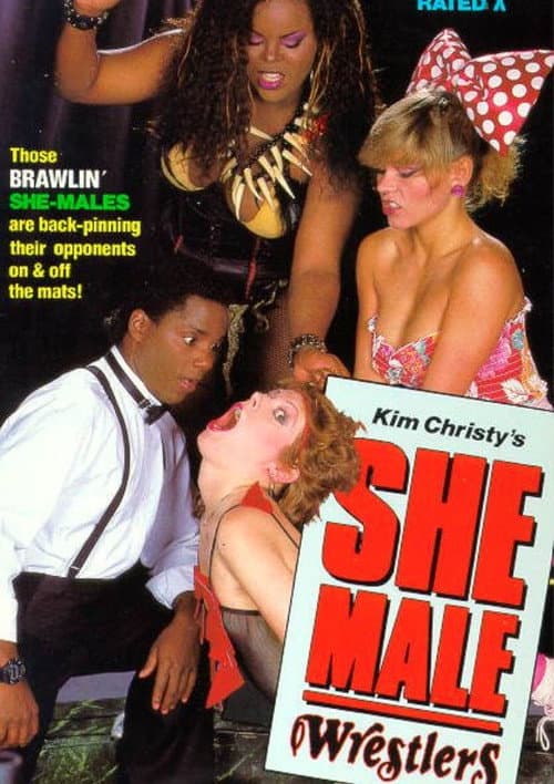 She-Male Encounters 14: She-Male Wrestlers poster