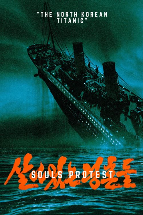 Souls Protest poster