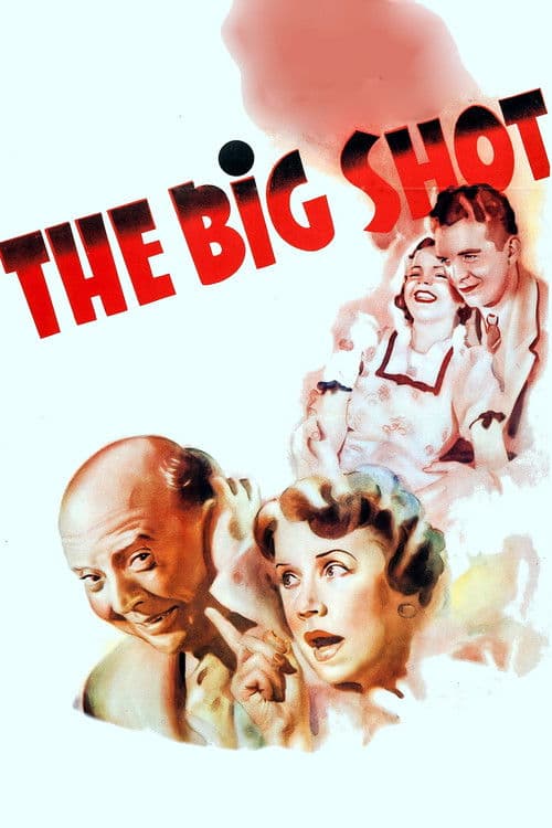 The Big Shot poster