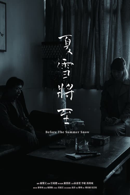 Before the Summer Snow poster