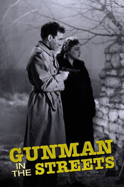 Gunman in the Streets poster