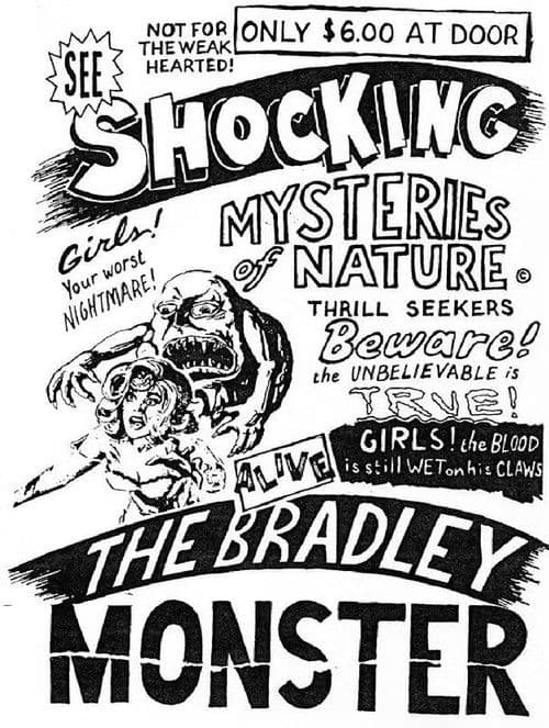 Basket Case 3-1/2: An Interview With Duane Bradley poster