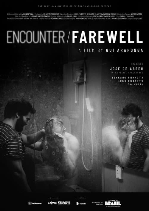 Encounter and Farewell poster