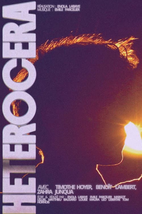 HETEROCERA poster
