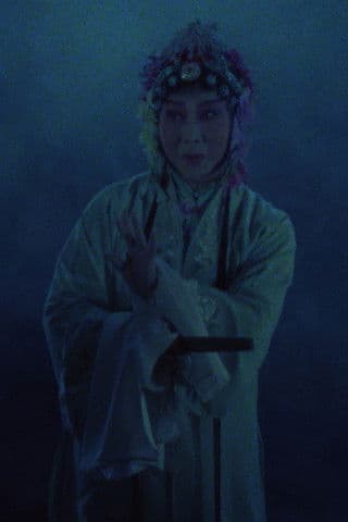 The Peony Pavilion poster