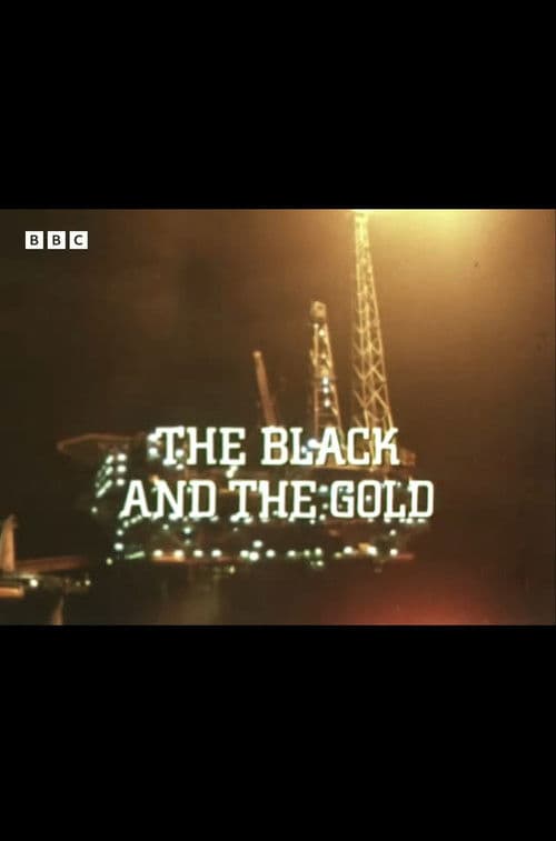 The Black and the Gold poster
