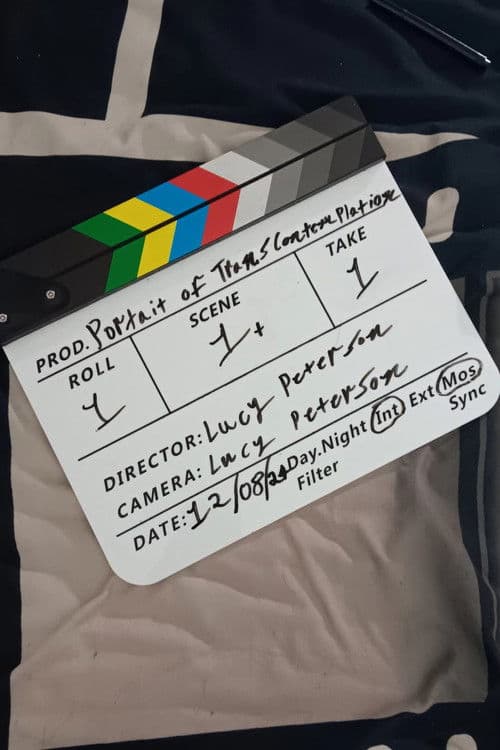 Portrait of Transfeminine Contemplation poster