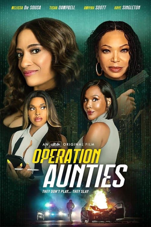 Operation: Aunties poster