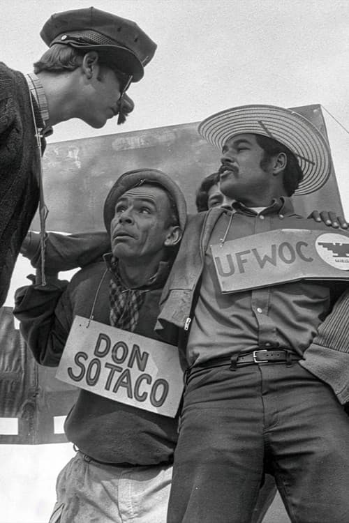 American Pachuco: The Legend of Luis Valdez poster