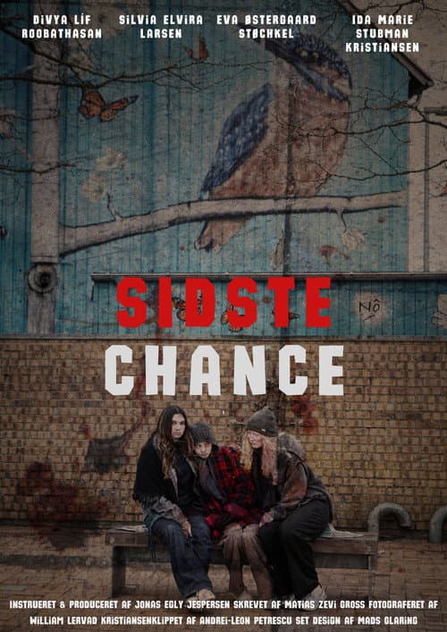 Sidste Chance poster
