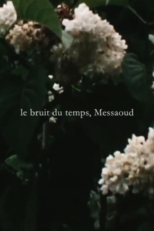 Le bruit du temps, Messaoud