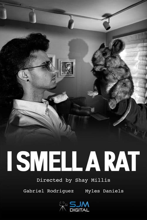 I Smell a Rat poster