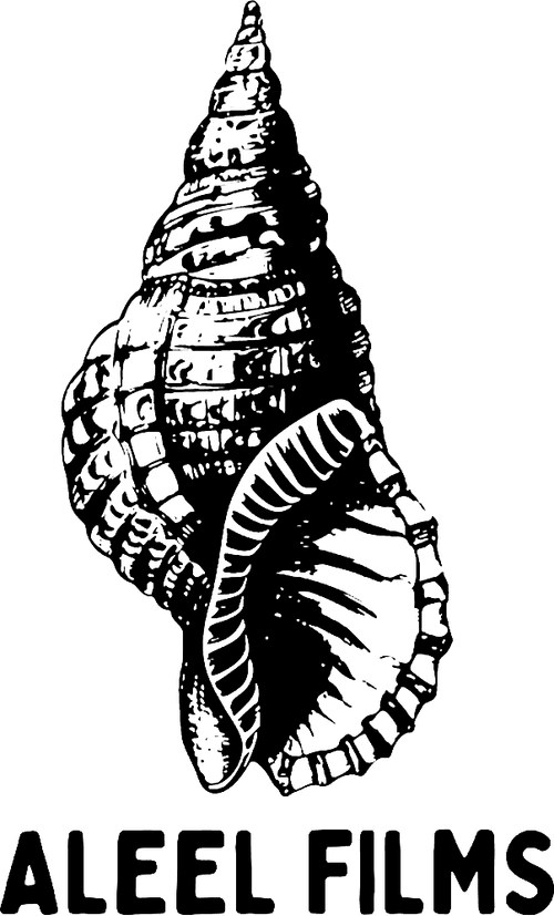 Aleel Films
