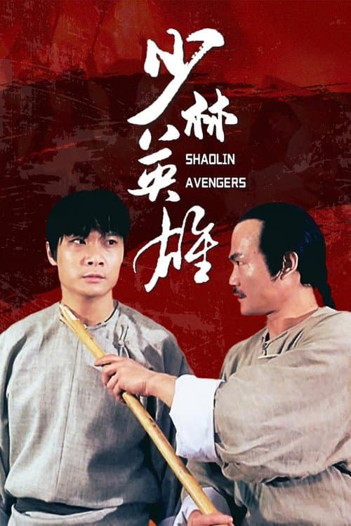 Kung Fu Kid poster
