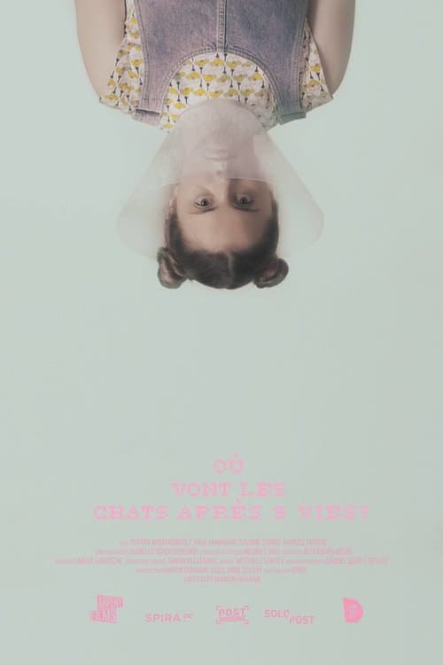 Where Do Cats Go After 9 Lives? poster