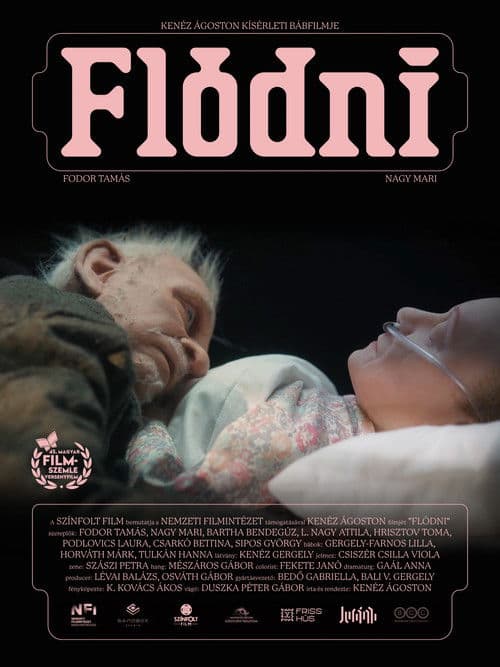 Flódni poster